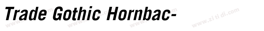 Trade Gothic Hornbac字体转换